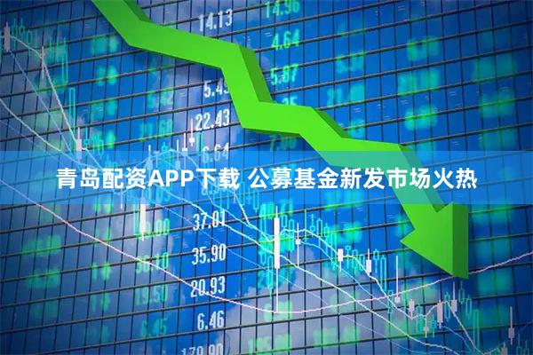 青岛配资APP下载 公募基金新发市场火热