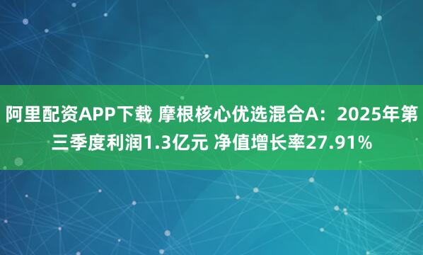 阿里配资APP下载 摩根核心优选混合A：2025年第三季度利润1.3亿元 净值增长率27.91%