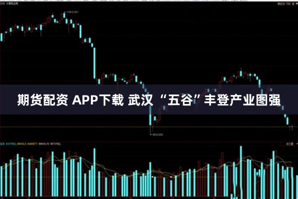 期货配资 APP下载 武汉 “五谷”丰登产业图强