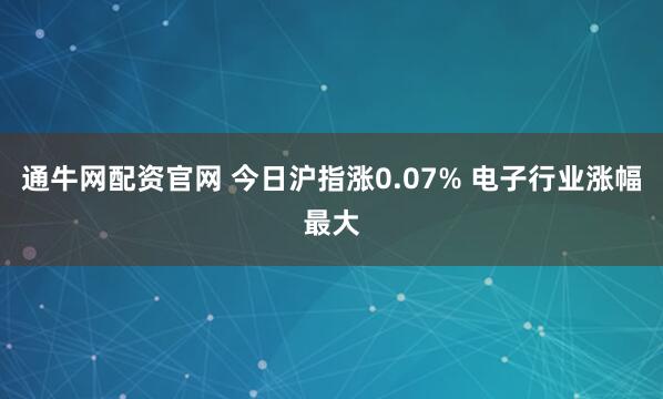 通牛网配资官网 今日沪指涨0.07% 电子行业涨幅最大