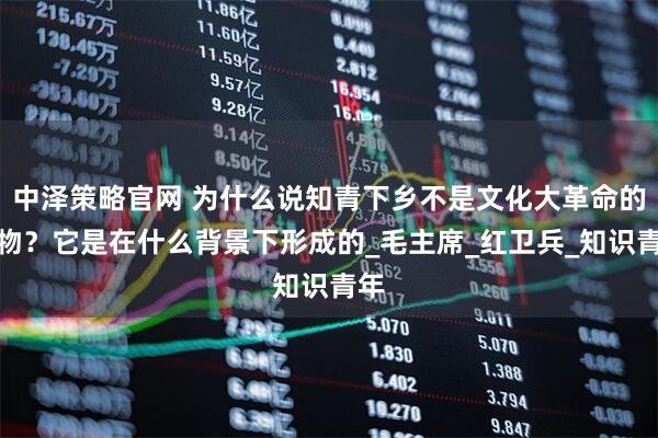 中泽策略官网 为什么说知青下乡不是文化大革命的产物？它是在什么背景下形成的_毛主席_红卫兵_知识青年