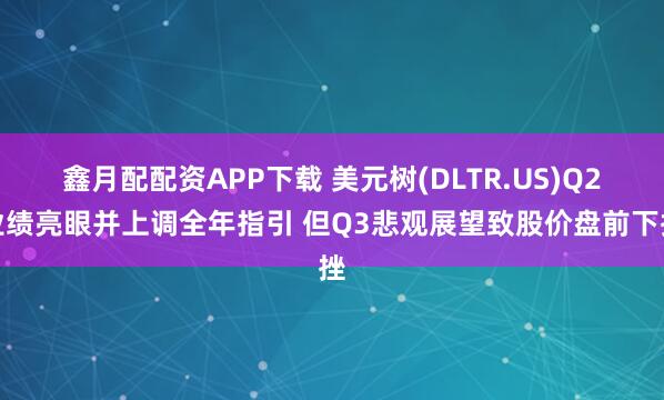鑫月配配资APP下载 美元树(DLTR.US)Q2业绩亮眼并上调全年指引 但Q3悲观展望致股价盘前下挫